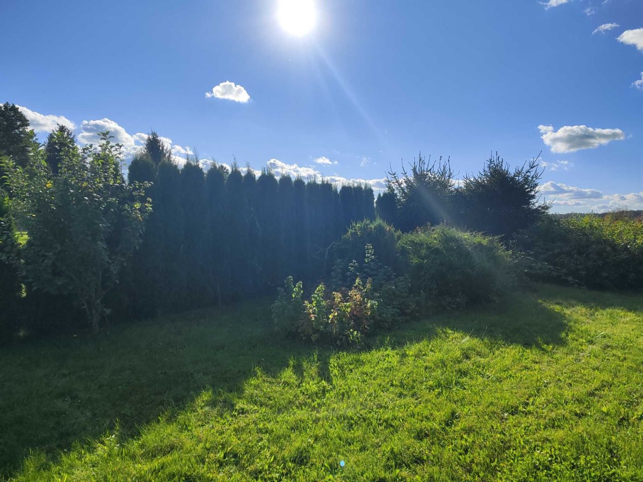 Działka budowlana Wasilków. Zdjęcie 4