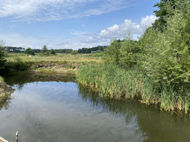 Działka budowlana Julianów. Zdjęcie 1