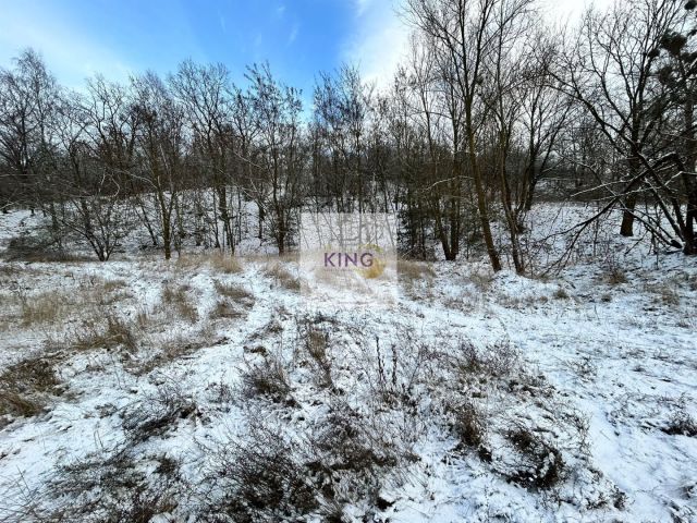 Działka rolno-budowlana Czepino. Zdjęcie 1