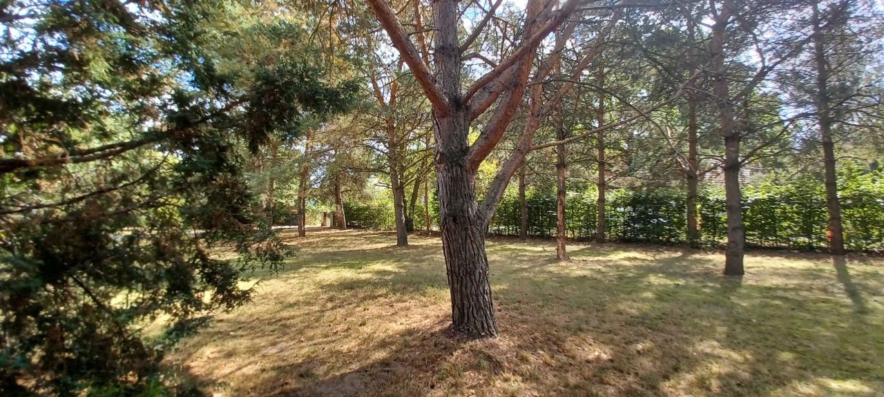 dom wolnostojący, 4 pokoje Czarny Las. Zdjęcie 7