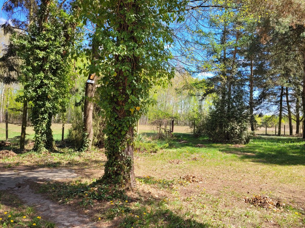 siedlisko Zaręby, ul. Kuropatwy. Zdjęcie 4