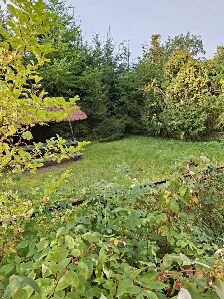 Działka inwestycyjna Upadły. Zdjęcie 7