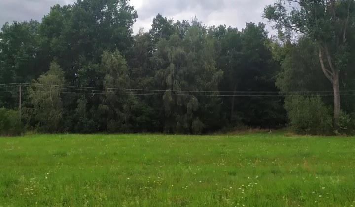 Działka budowlana Kamionka, ul. Leśna