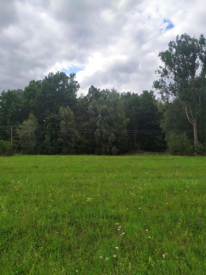 Działka budowlana Kamionka, ul. Leśna. Zdjęcie 1