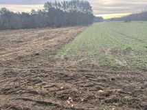 Działka rolno-budowlana Groszowice Wrzosów, ul. Kalinowa. Zdjęcie 3