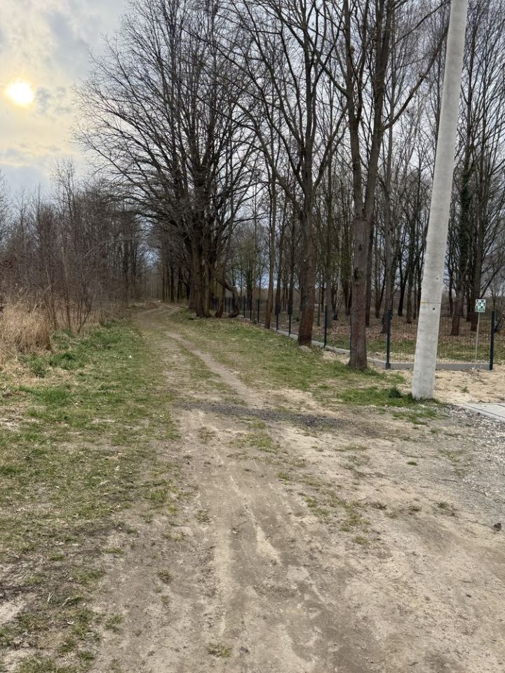 Działka budowlana Lipinki Łużyckie, ul. Żarska. Zdjęcie 7