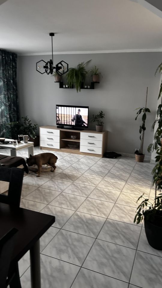 Mieszkanie 2-pokojowe Siedlce Centrum, ul. Jana Kilińskiego. Zdjęcie 2