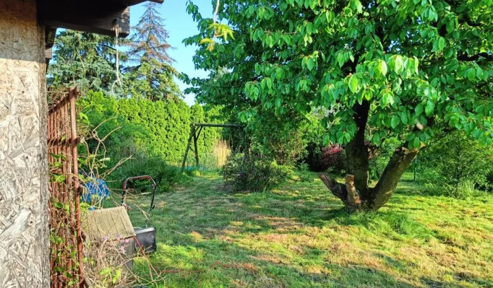 Działka rod Widziszewo, ul. Podgórna