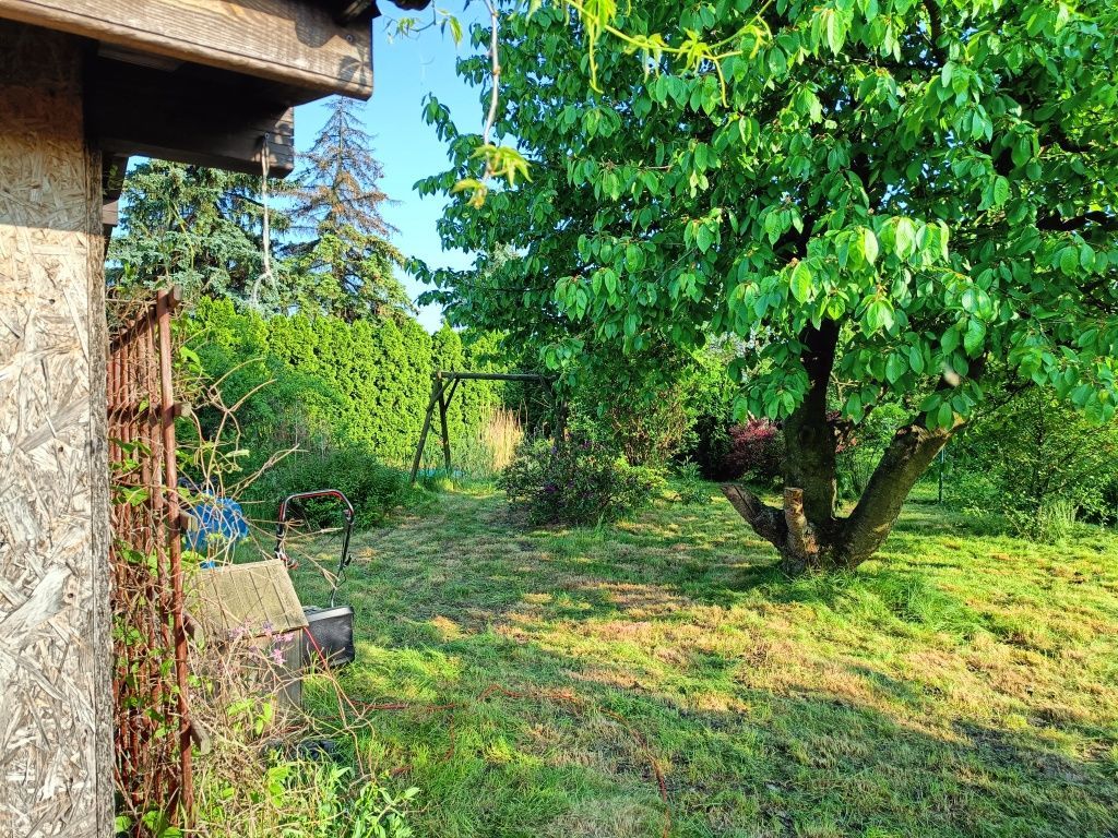 Działka rod Widziszewo, ul. Podgórna