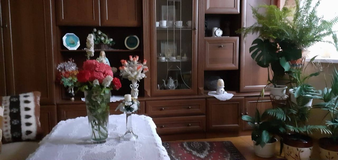 dom wolnostojący, 6 pokoi Gościeszowice. Zdjęcie 16