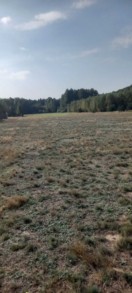 Działka budowlana Łysobyki. Zdjęcie 7