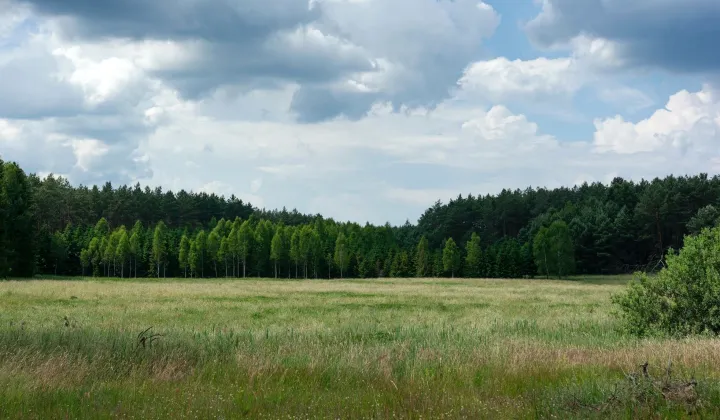 Działka rekreacyjna Zgniłocha