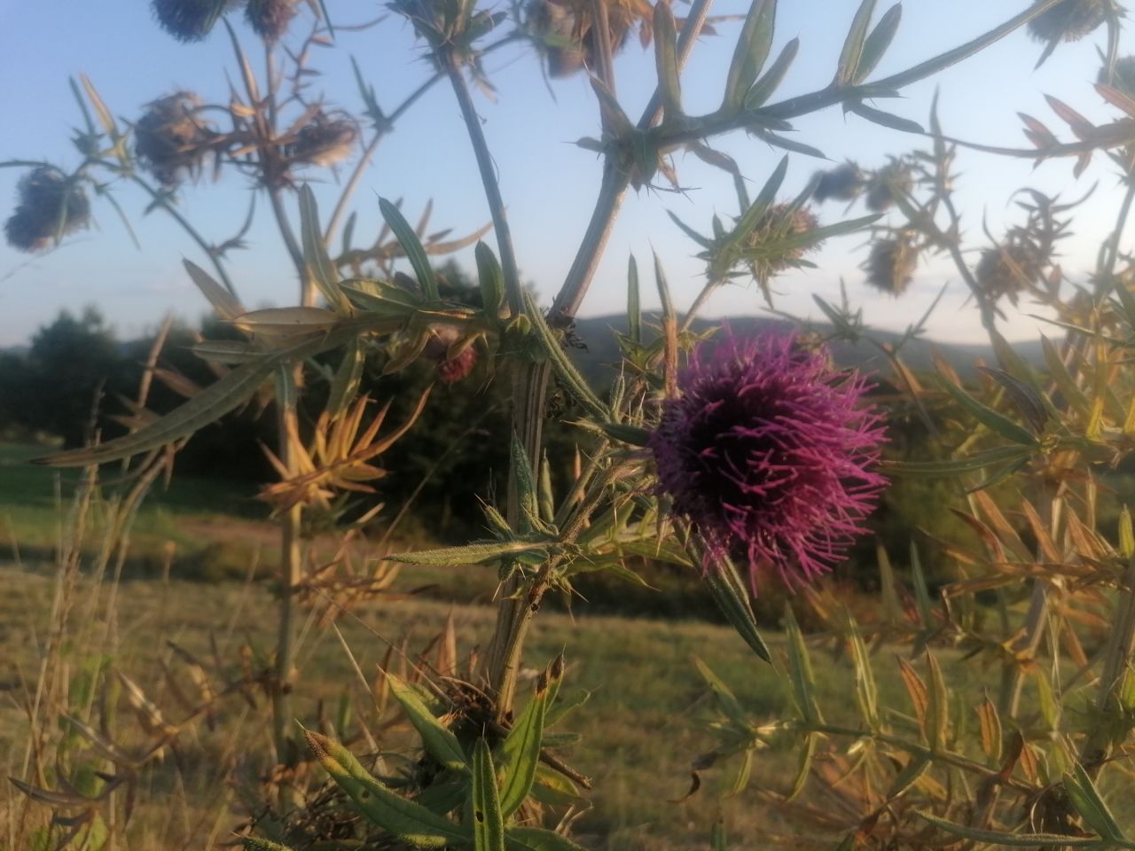 Działka rekreacyjna Rybotycze. Zdjęcie 39