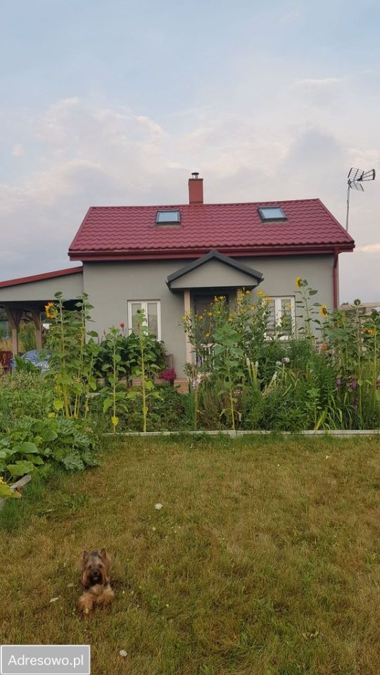 Działka rod Częstochowa Błeszno. Zdjęcie 6