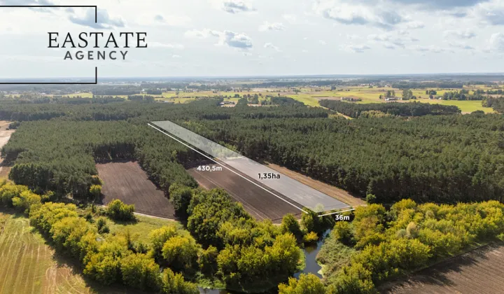 Działka leśna Maurzyce