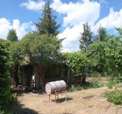 Działka rod Ełk POHZ, Suwalska. Zdjęcie 3