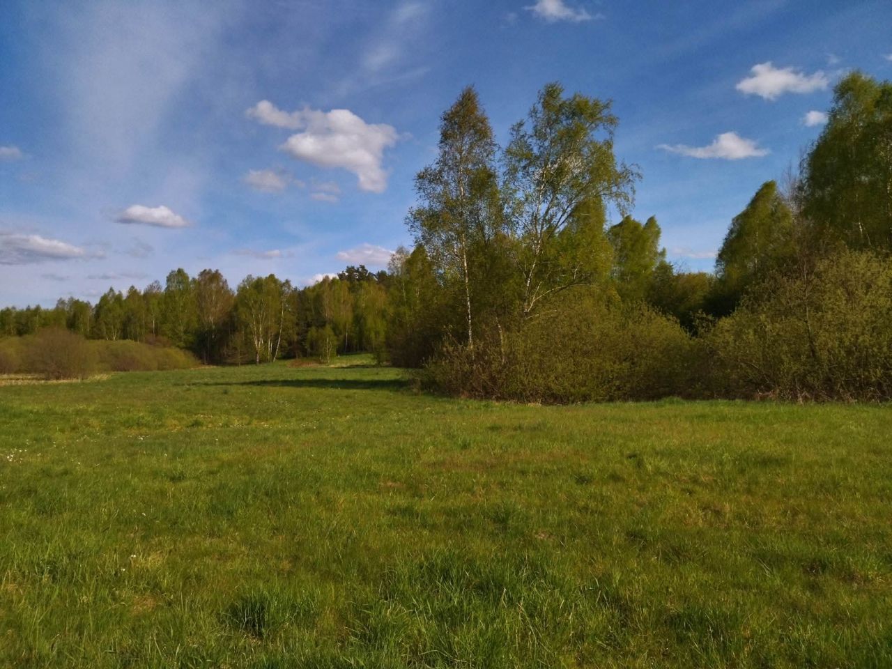 Działka budowlana Wielimowo. Zdjęcie 5