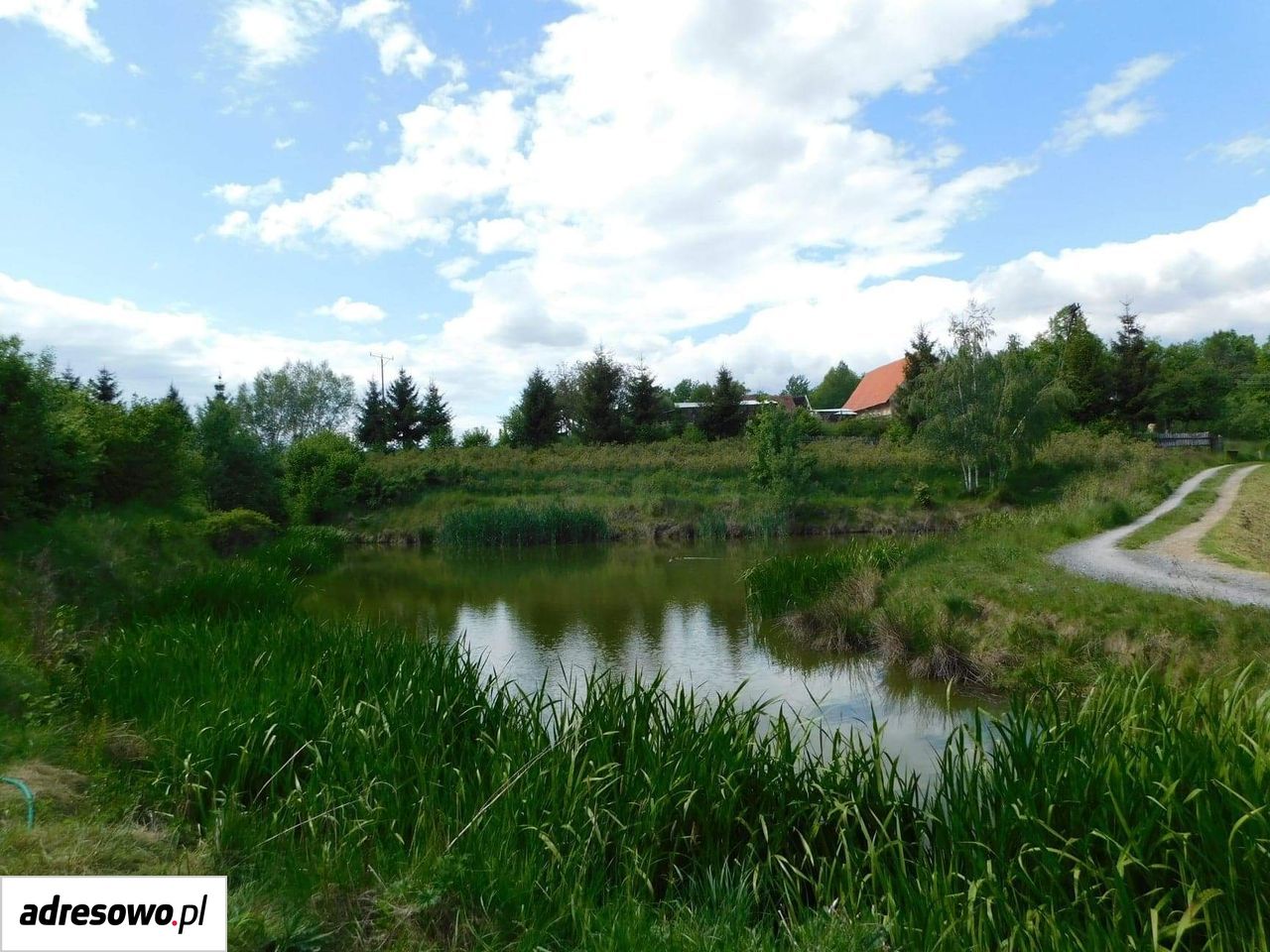 gospodarstwo, 12 pokoi Wojbórz. Zdjęcie 4