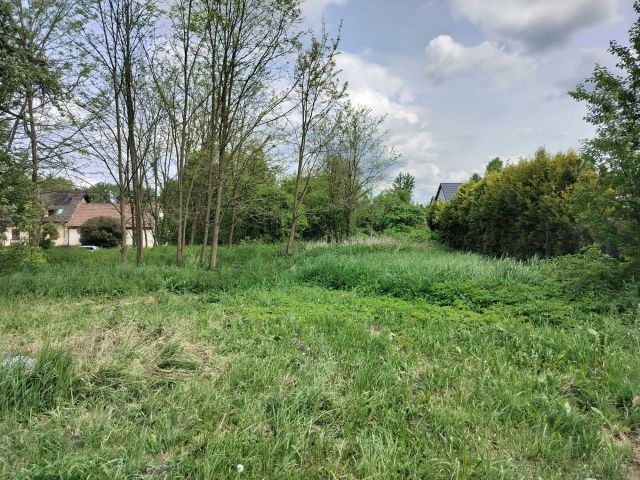 Działka rolno-budowlana Starzyny. Zdjęcie 1