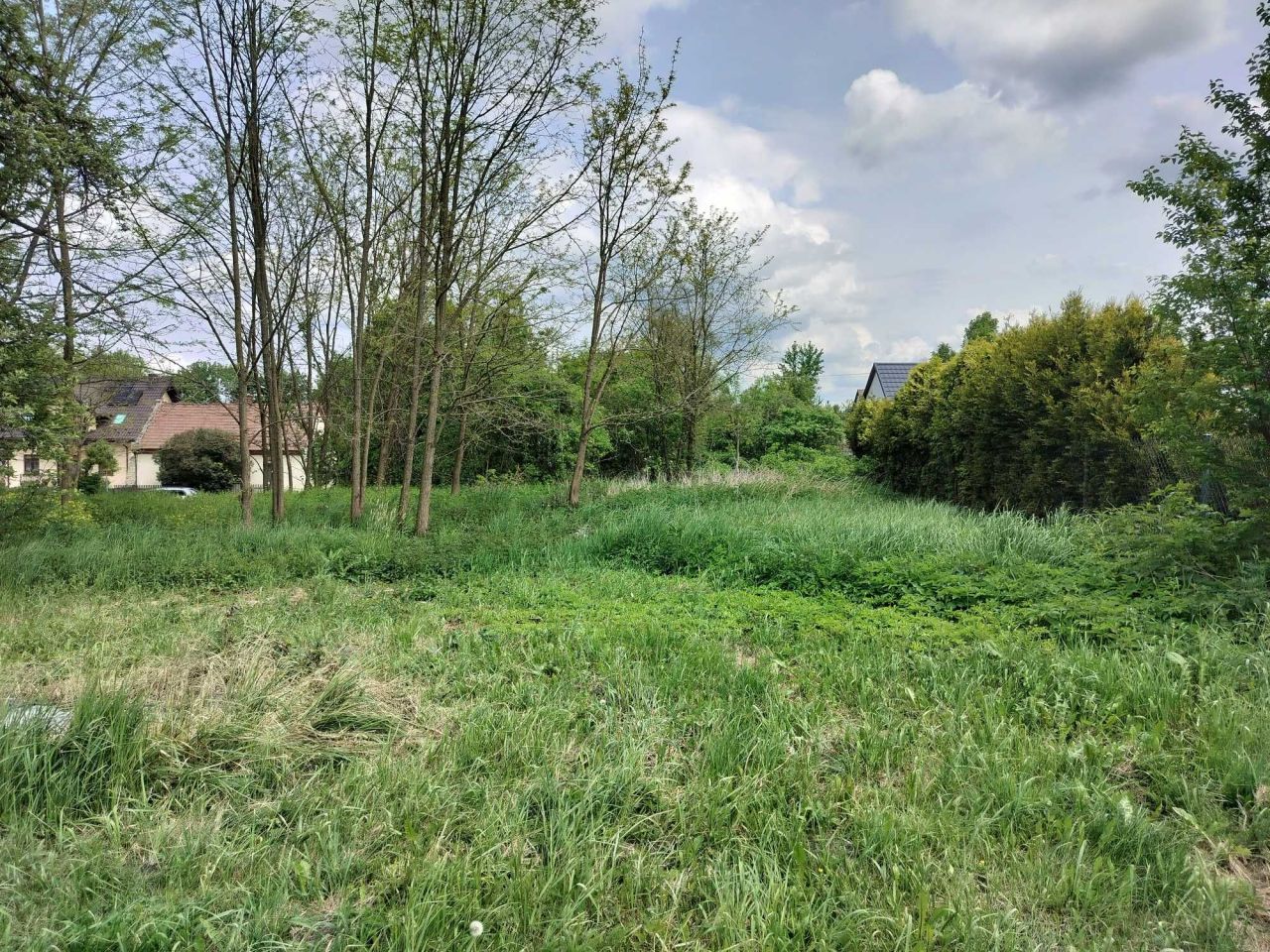 Działka rolno-budowlana Starzyny