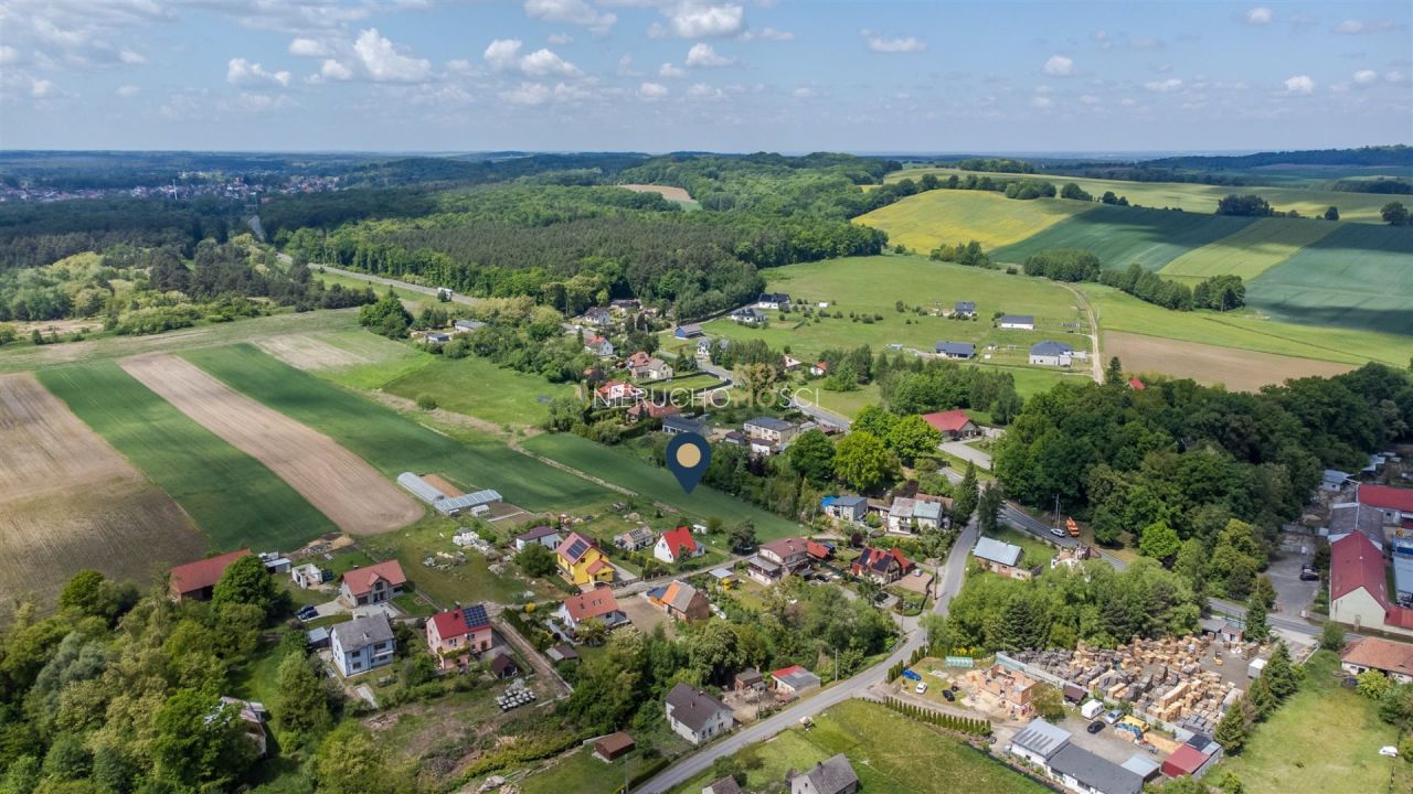 Działka rolno-budowlana Wilczyn. Zdjęcie 11