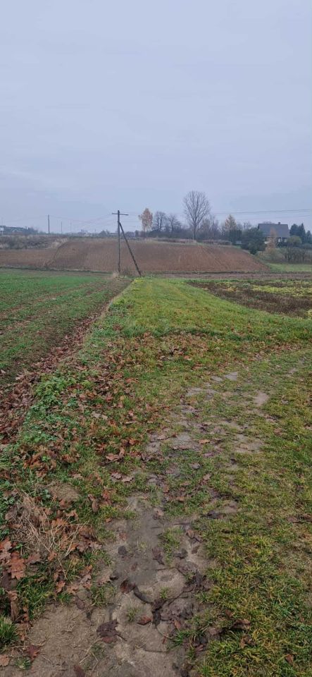 Działka rolna Marysin. Zdjęcie 3