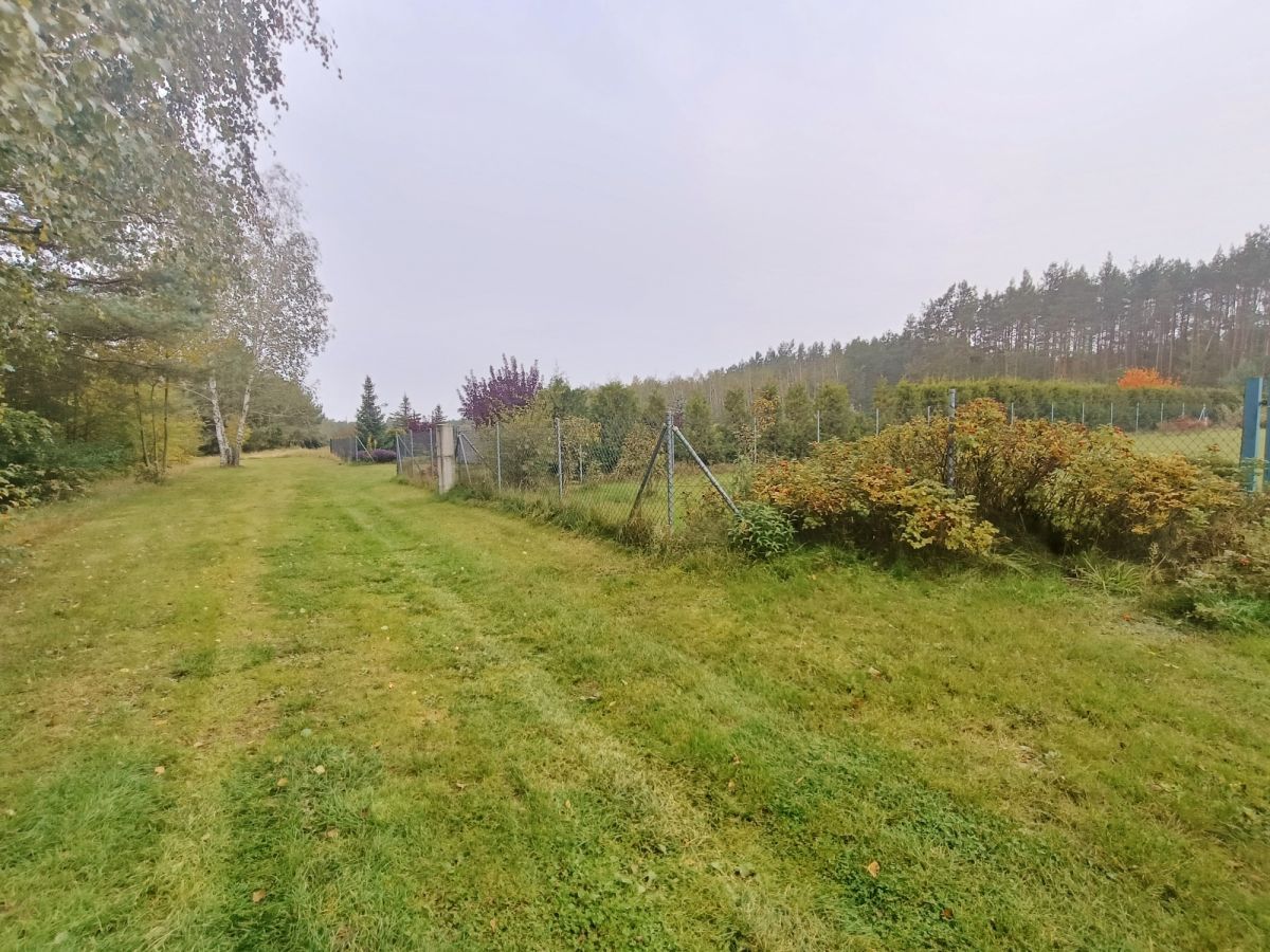 Działka budowlana Pieńki Henrykowskie. Zdjęcie 5