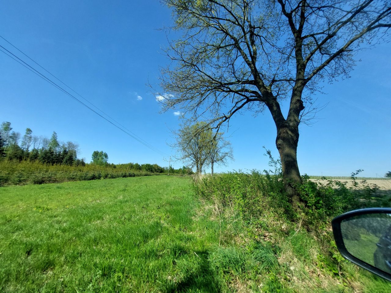 Działka siedliskowa Suszeniec, ul. Graniczna. Zdjęcie 8