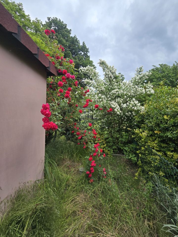 Działka rod Głogów. Zdjęcie 6