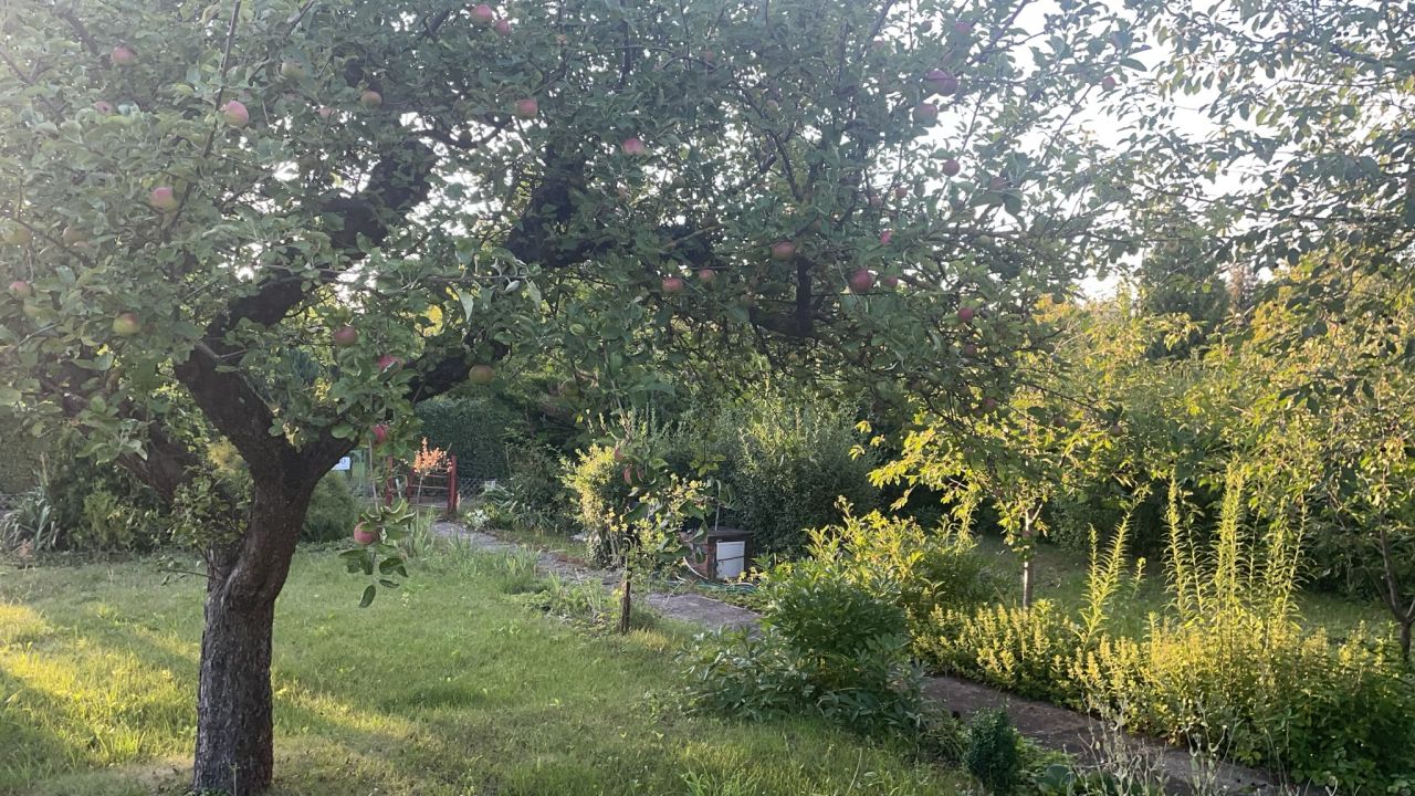 Działka rod Inowrocław, Szosa Bydgoska. Zdjęcie 3