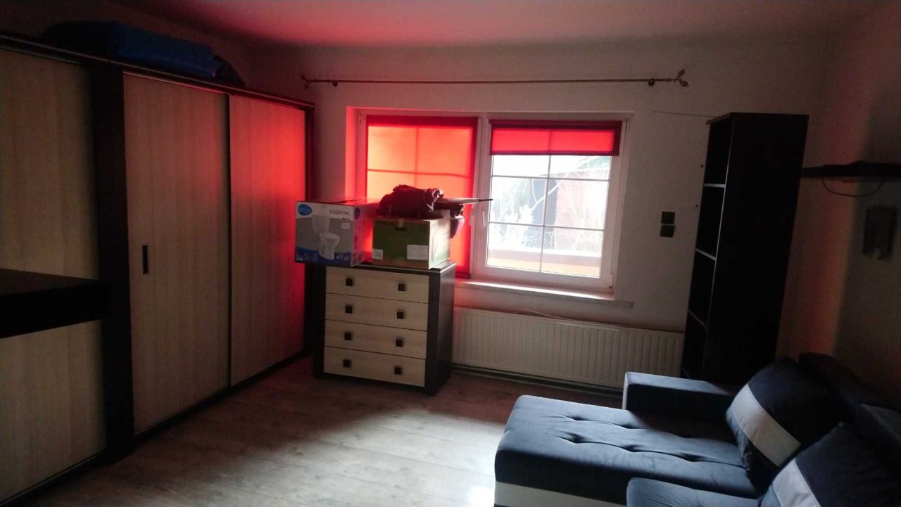 bliźniak Dziewiń Duży. Zdjęcie 8