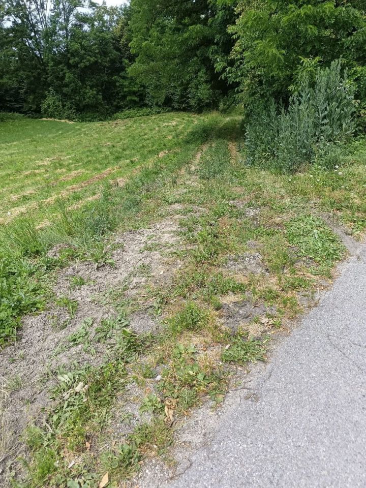 Działka budowlana Łomna. Zdjęcie 4