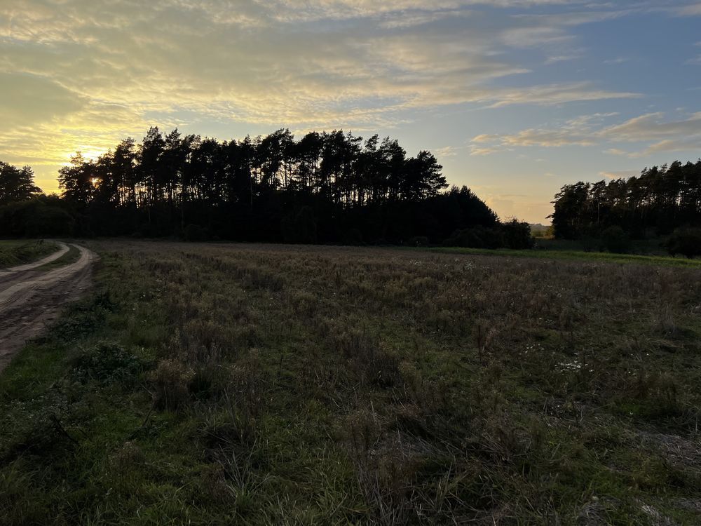 Działka budowlana Dąbrowa. Zdjęcie 4