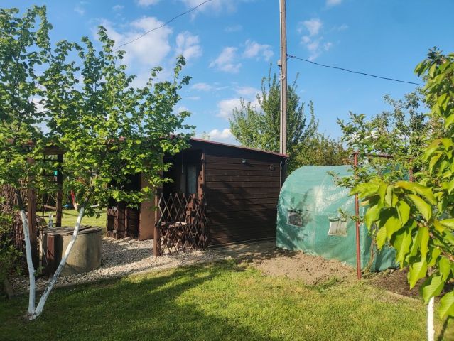 Działka rekreacyjna Wieluń, ul. Elizy Orzeszkowej. Zdjęcie 1