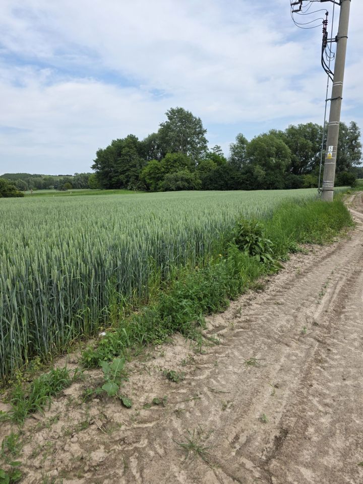 Działka budowlana Przeworsk, ul. Żurawia. Zdjęcie 3