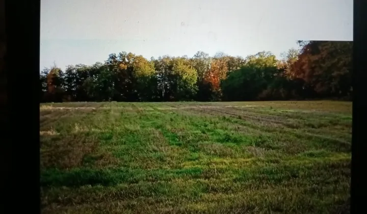 Działka rolna Przerzeczyn-Zdrój, ul. Kwiatowa