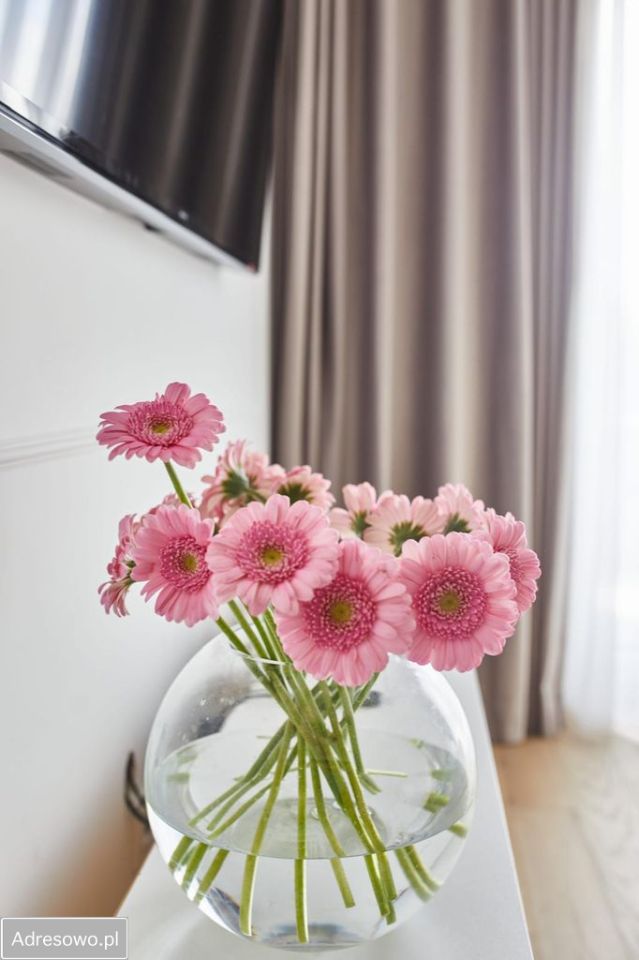 Mieszkanie 2-pokojowe Gdańsk Siedlce, ul. gen. Stefana Grota-Roweckiego. Zdjęcie 3