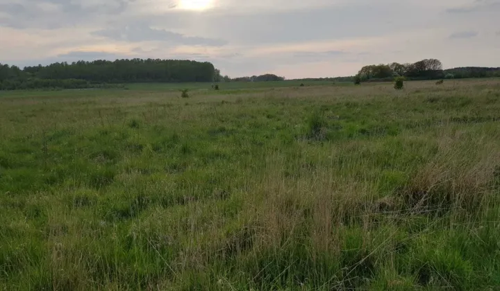 Działka rekreacyjna Nacmierz