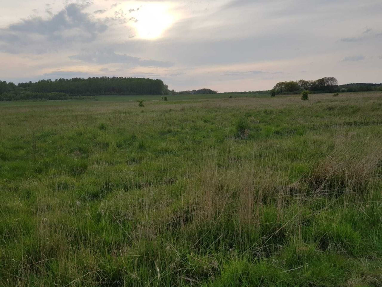 Działka rekreacyjna Nacmierz. Zdjęcie 1