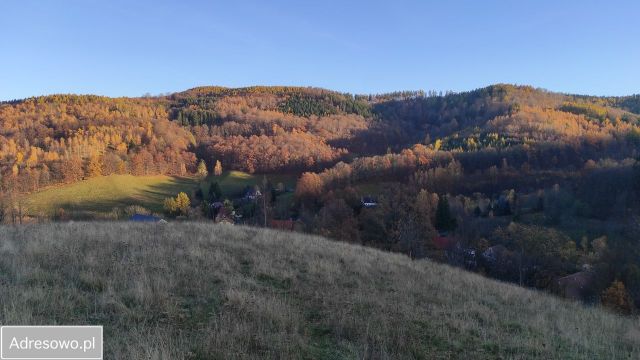 Działka inwestycyjna Rościszów, ul. Sowiogórska. Zdjęcie 1