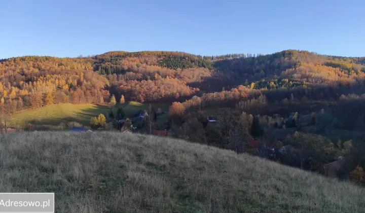 Działka inwestycyjna Rościszów, ul. Sowiogórska