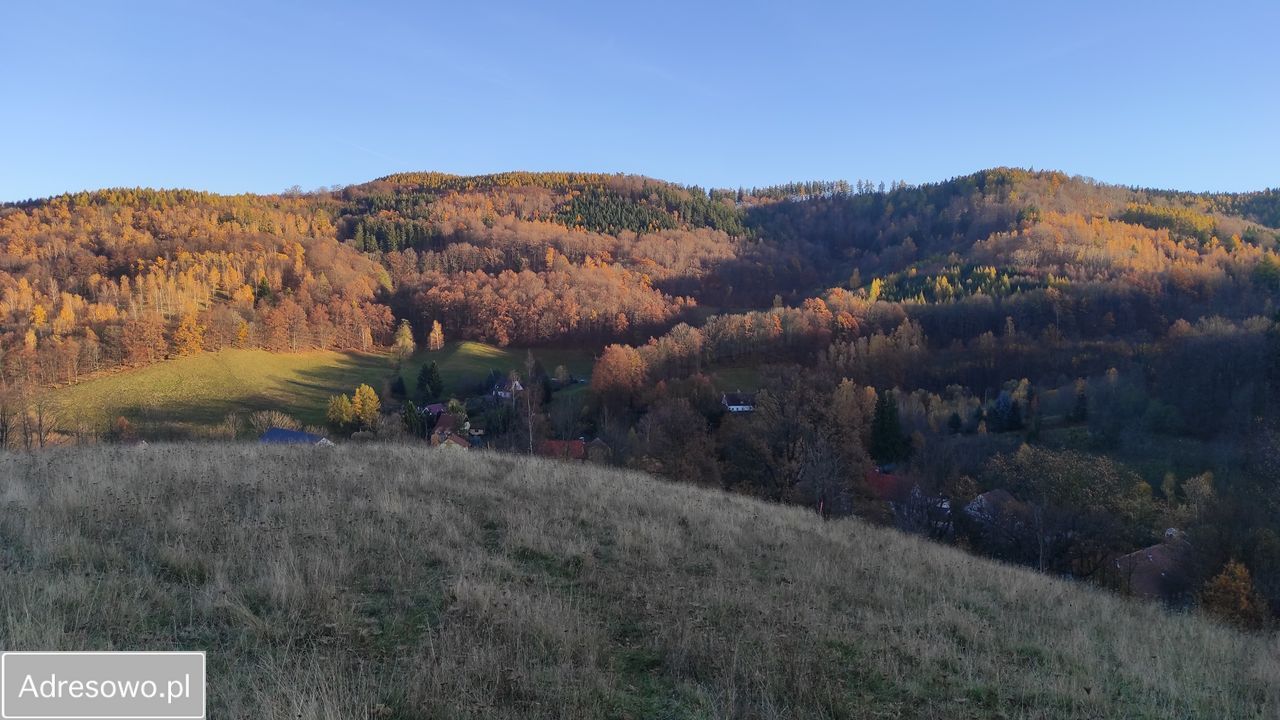 Działka inwestycyjna Rościszów, ul. Sowiogórska. Zdjęcie 1