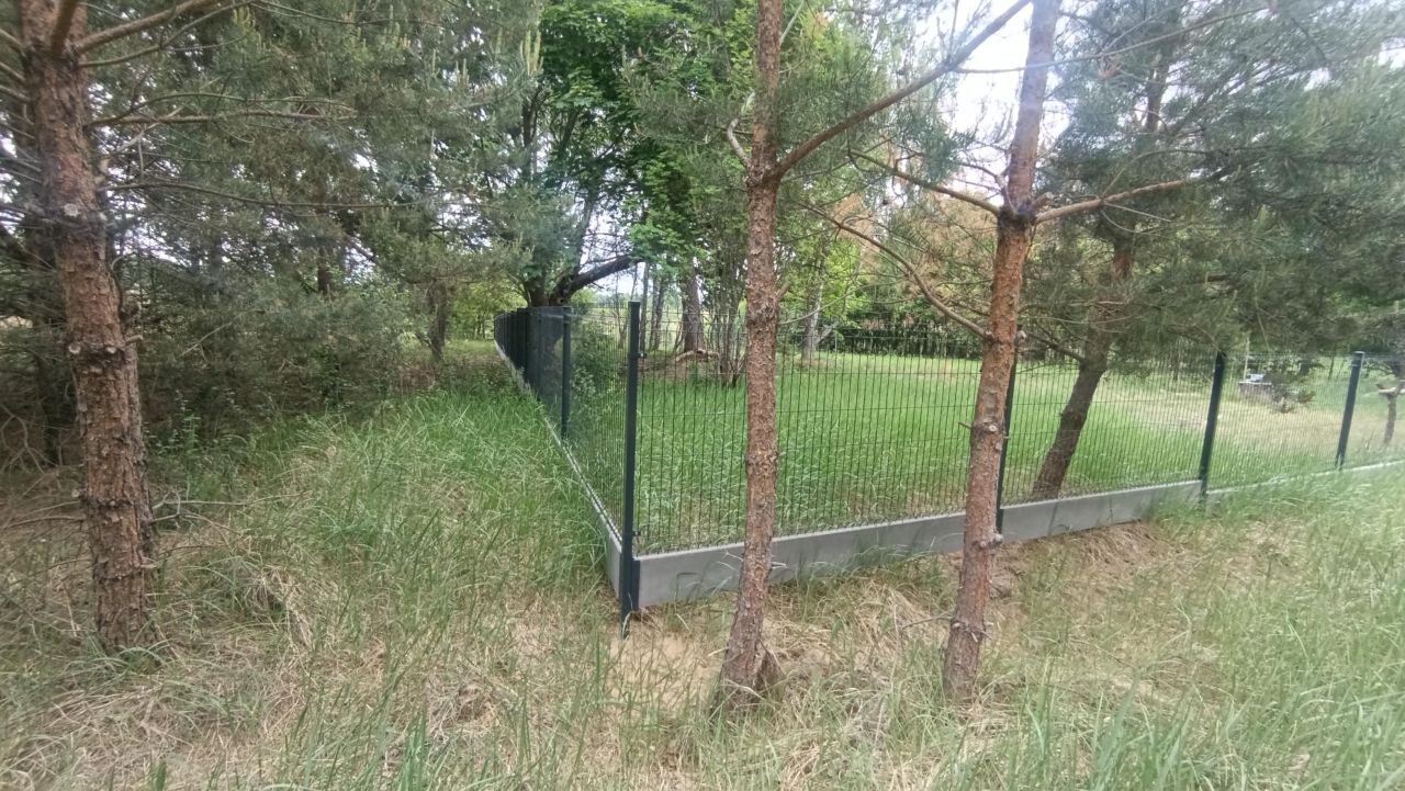 Działka siedliskowa Krynickie. Zdjęcie 4