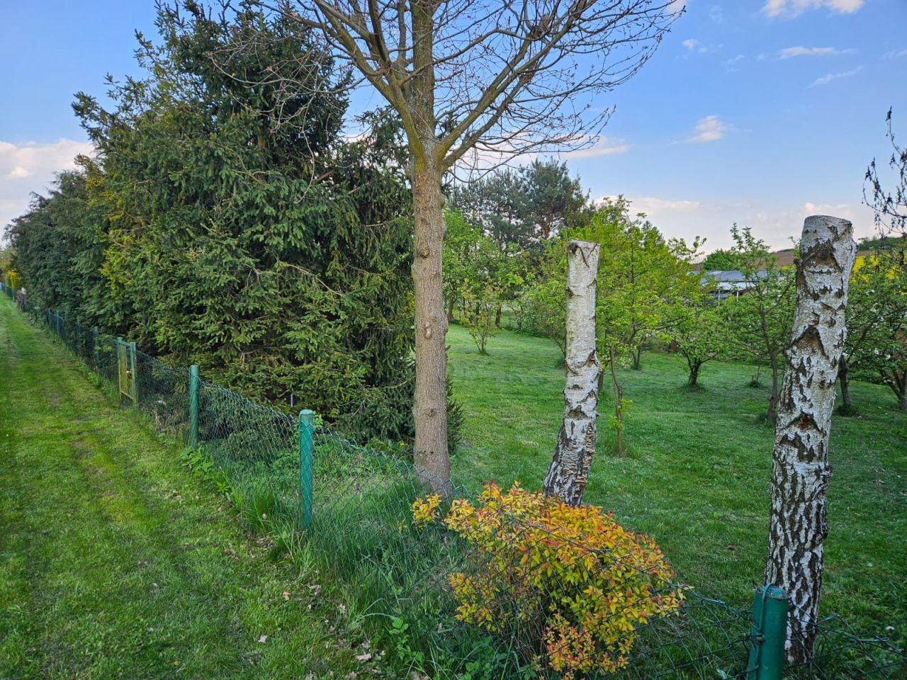 Działka rekreacyjna Woźniki. Zdjęcie 4