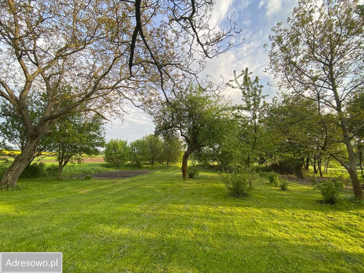 siedlisko, 3 pokoje Boleszyn Boleszyn-Kolonie. Zdjęcie 7