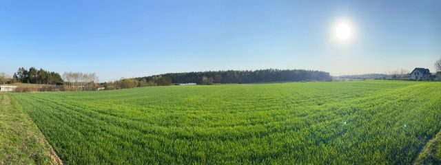 Działka budowlana Kleszczewo, ul. Spacerowa. Zdjęcie 1