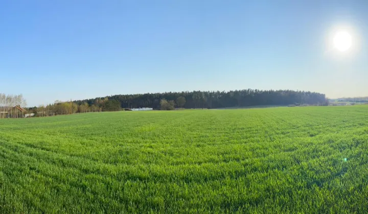 Działka budowlana Kleszczewo, ul. Spacerowa