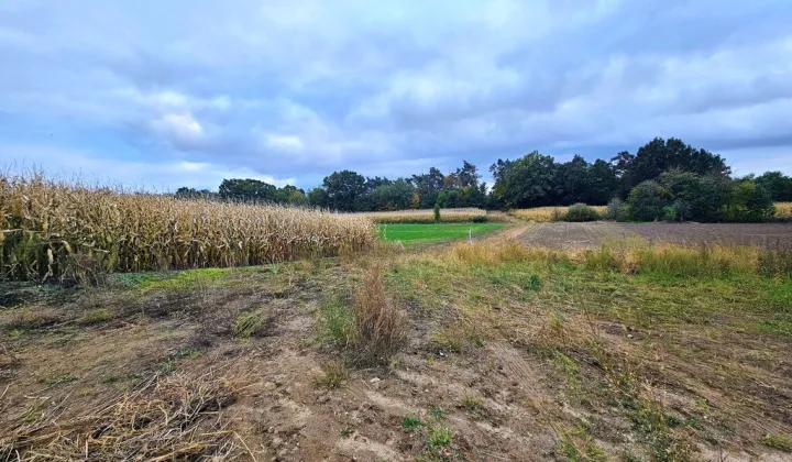 Działka budowlana Siekierowice