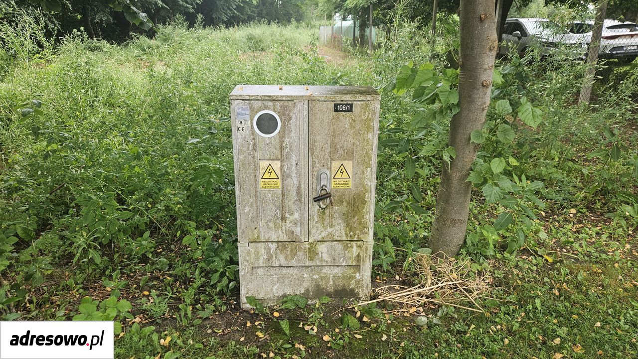 Działka rolna Runowo Krajeńskie. Zdjęcie 6