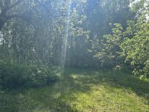 Działka rekreacyjna Stary Podoś. Zdjęcie 4